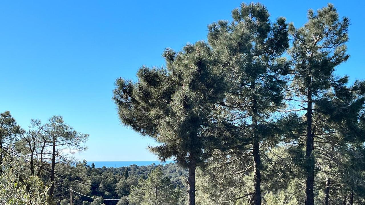 Paradise Lloret Gasthuis