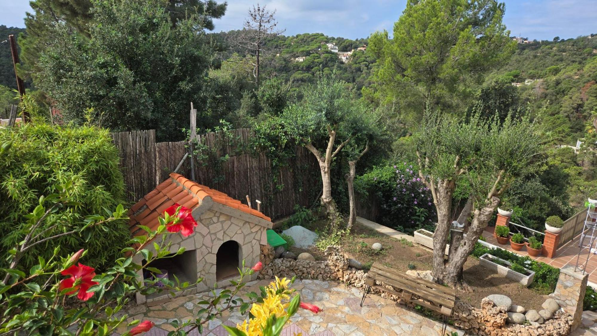 Gasthuis Paradise Lloret